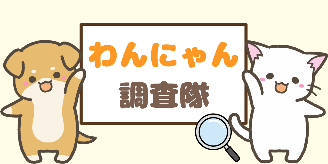 わんにゃん調査隊